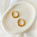 Gold Chunky Hoop Earrings